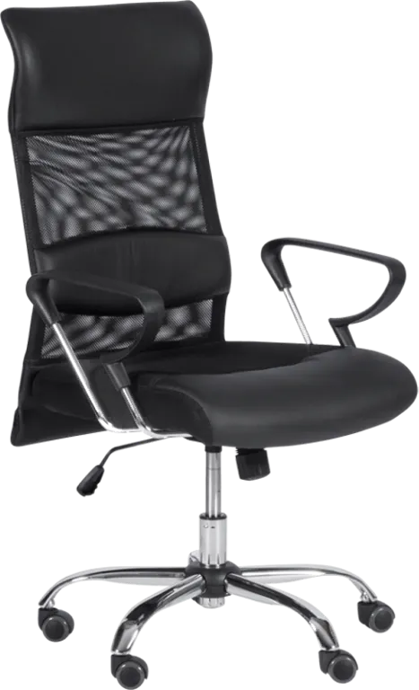 Lady modern chair